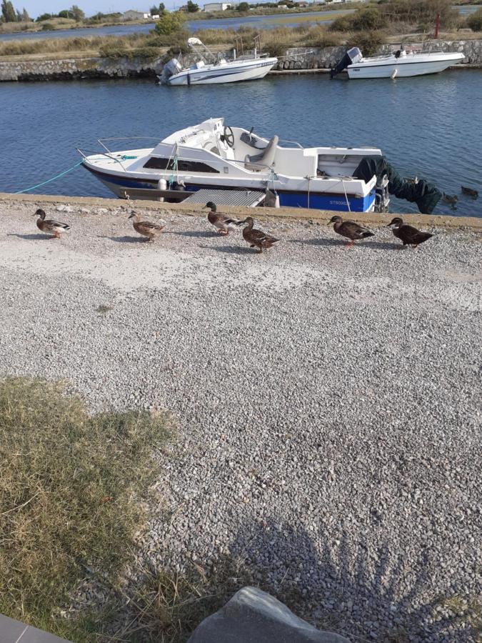 Villa La Petite Maison Au Bord Du Canal T2 - 3etoiles - *
