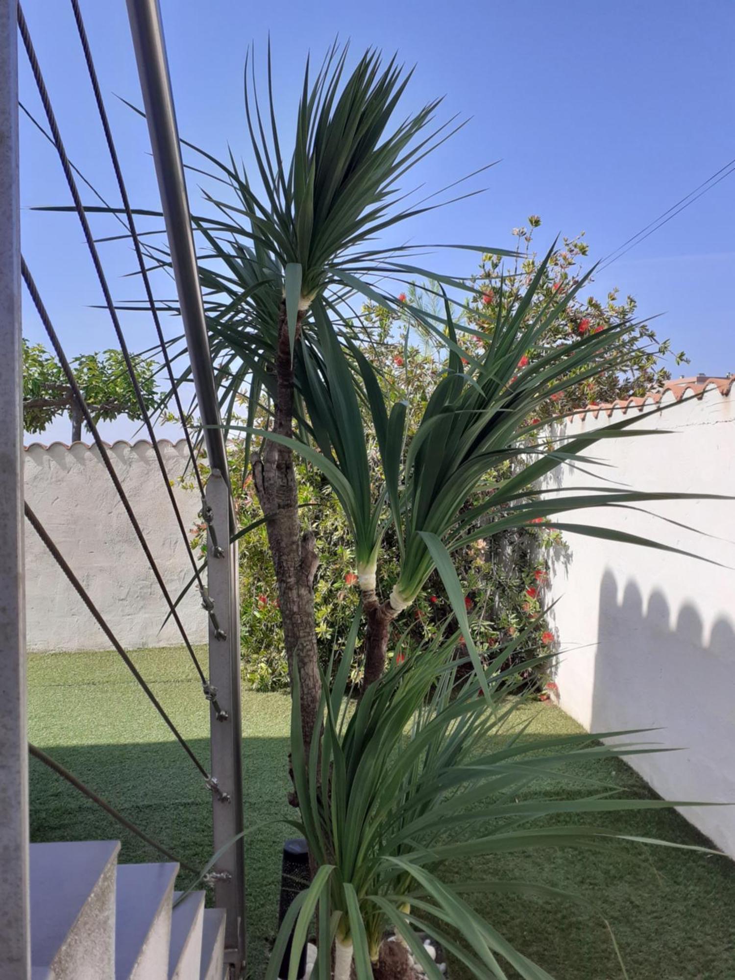La Petite Maison Au Bord Du Canal T2 - 3etoiles - * Frontignan